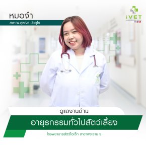 สพ.ญ. สุชญา บัวอุไร ( หมอจ๋า )